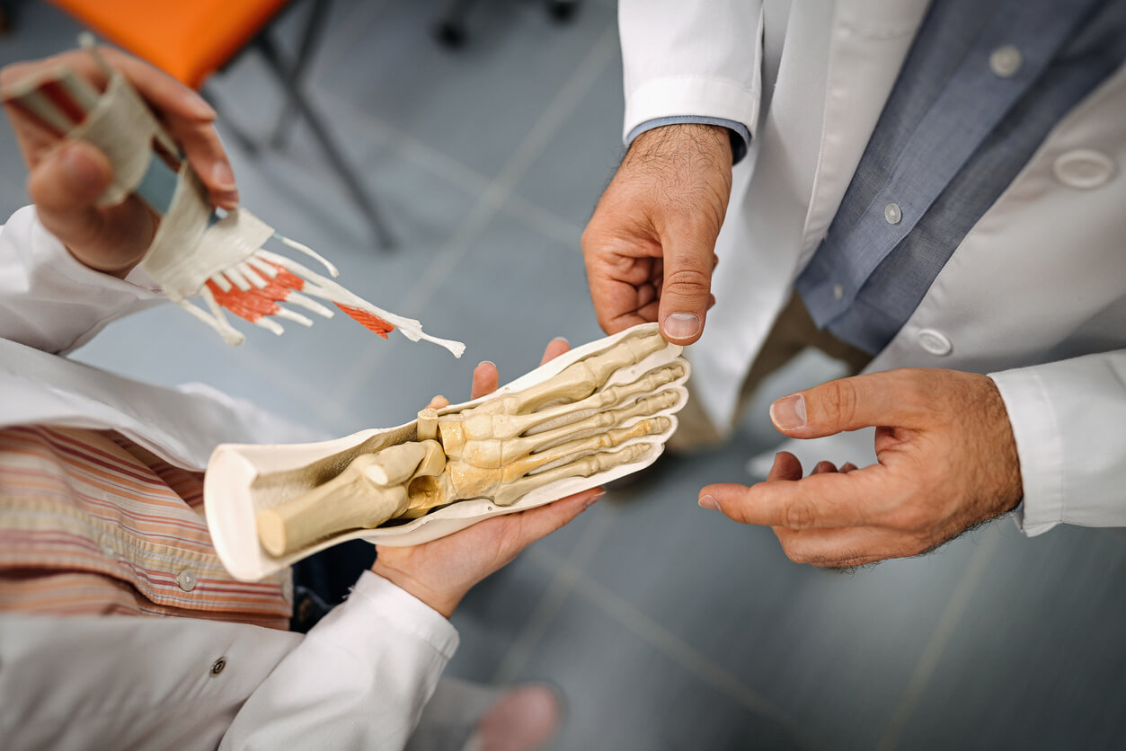 doctor indicating bones in the foot